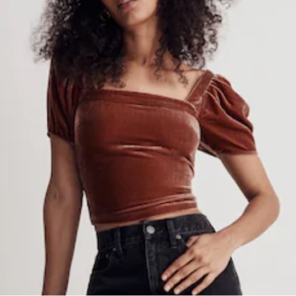 Madewell Hopewell Puff-Sleeve Crop Top in Silk-Blend Velvet Size XL - Picture 1 of 5